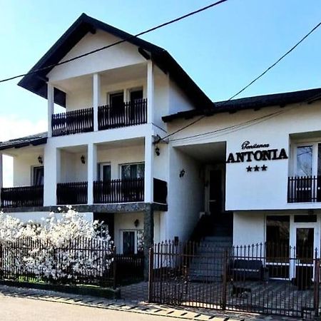Pensiunea Antonia Ватра-Дорней Экстерьер фото
