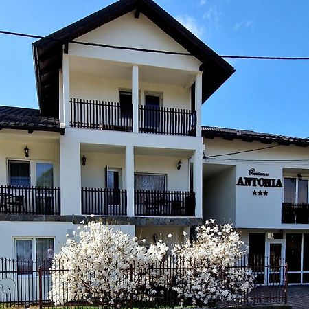 Pensiunea Antonia Ватра-Дорней Экстерьер фото