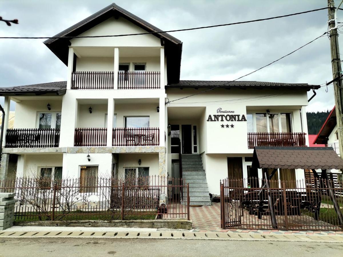 Pensiunea Antonia Ватра-Дорней Экстерьер фото