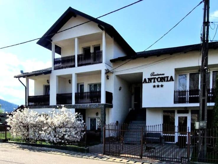 Pensiunea Antonia Ватра-Дорней Экстерьер фото