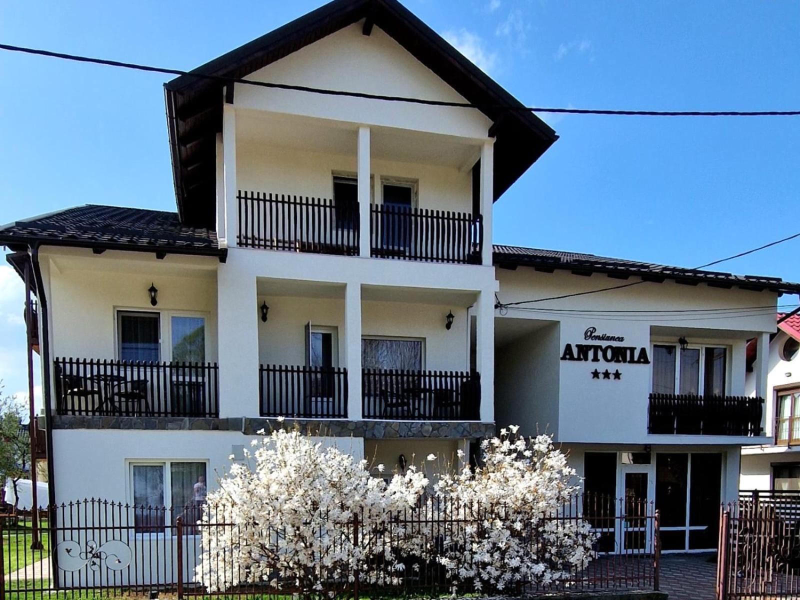 Pensiunea Antonia Ватра-Дорней Экстерьер фото